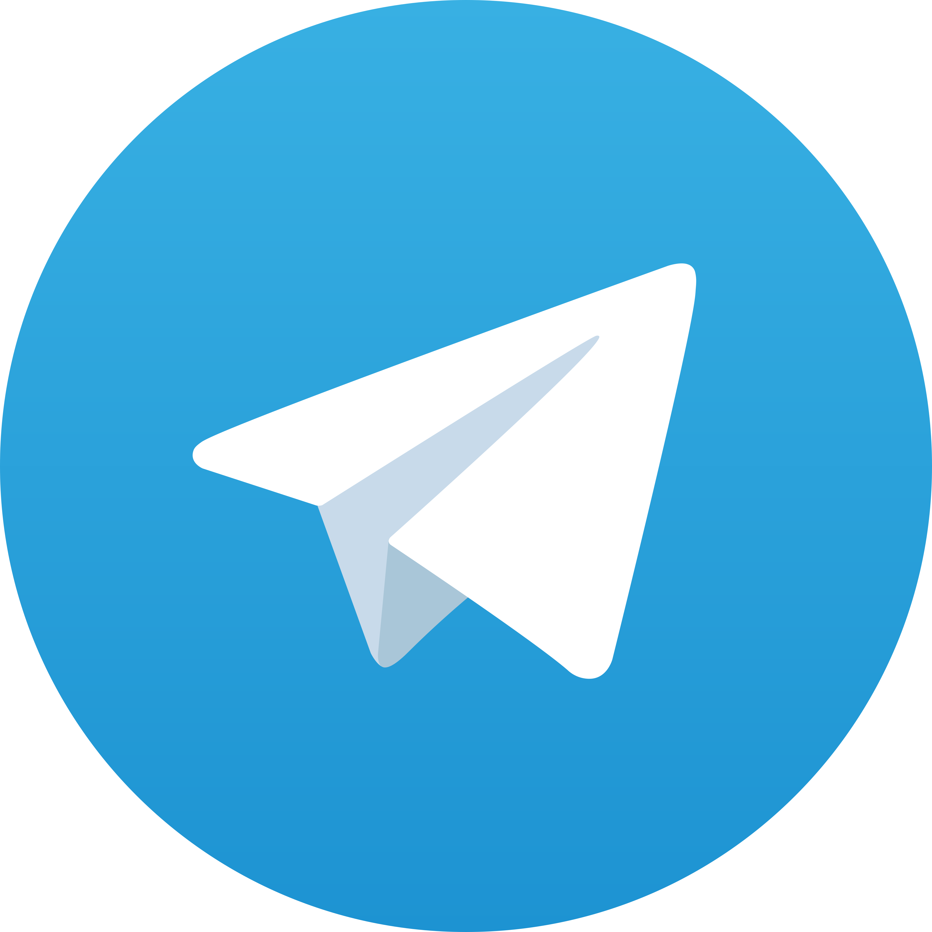 Telegram BULLS77